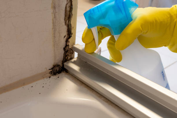 Best Mold Documentation for Insurance Claims  in Marlton, NJ